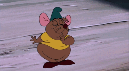 tumblr_lsvwo9MaPd1r0u624o1_500.gif