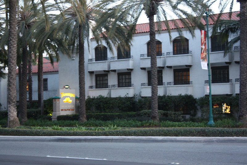 IMG0336-L.jpg