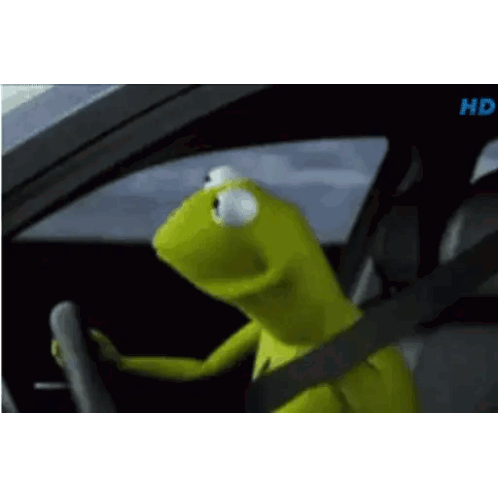 kermit the frog is driving a car and looking out the window .