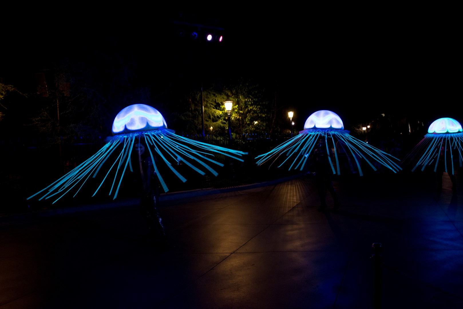 DSC_4481%20(Large).jpg