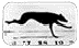 greyhound.gif