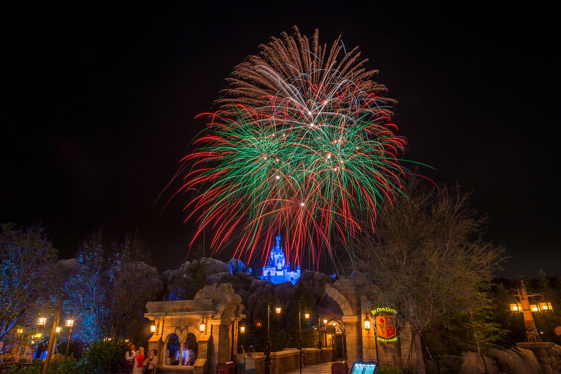 DSC_7435-L.jpg