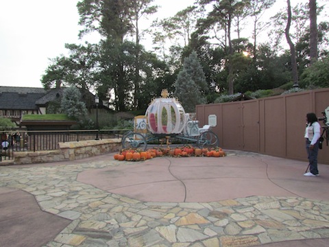IMG_8908.JPG