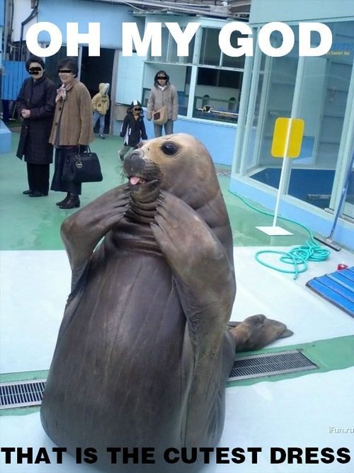 tumblr_lam0kr20K31qaaowno1_500.jpg