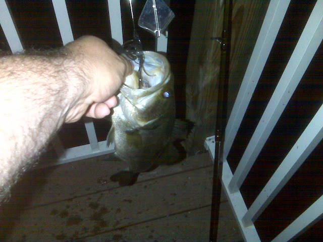 IMG00526.jpg