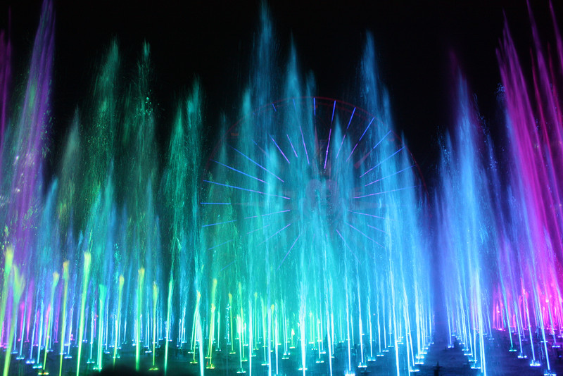 IMG0608-L.jpg