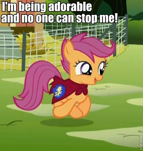 tumblr_lk1tdsp80i1qafrh6.jpg