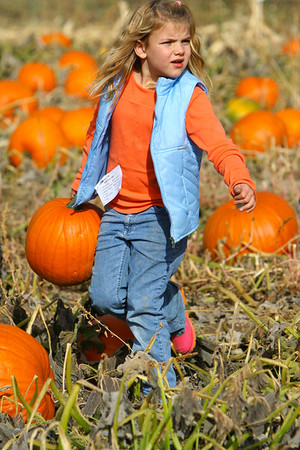211281366_QTAja-M.jpg