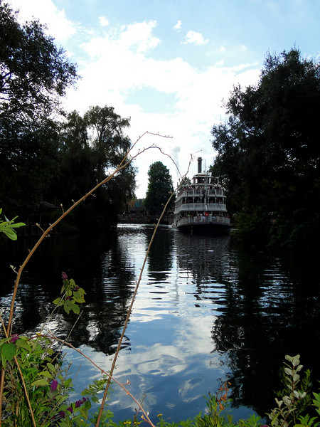 i-s484638-L.jpg
