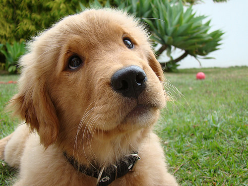 tumblr_lbvu757nrS1qa6sjao1_500.jpg