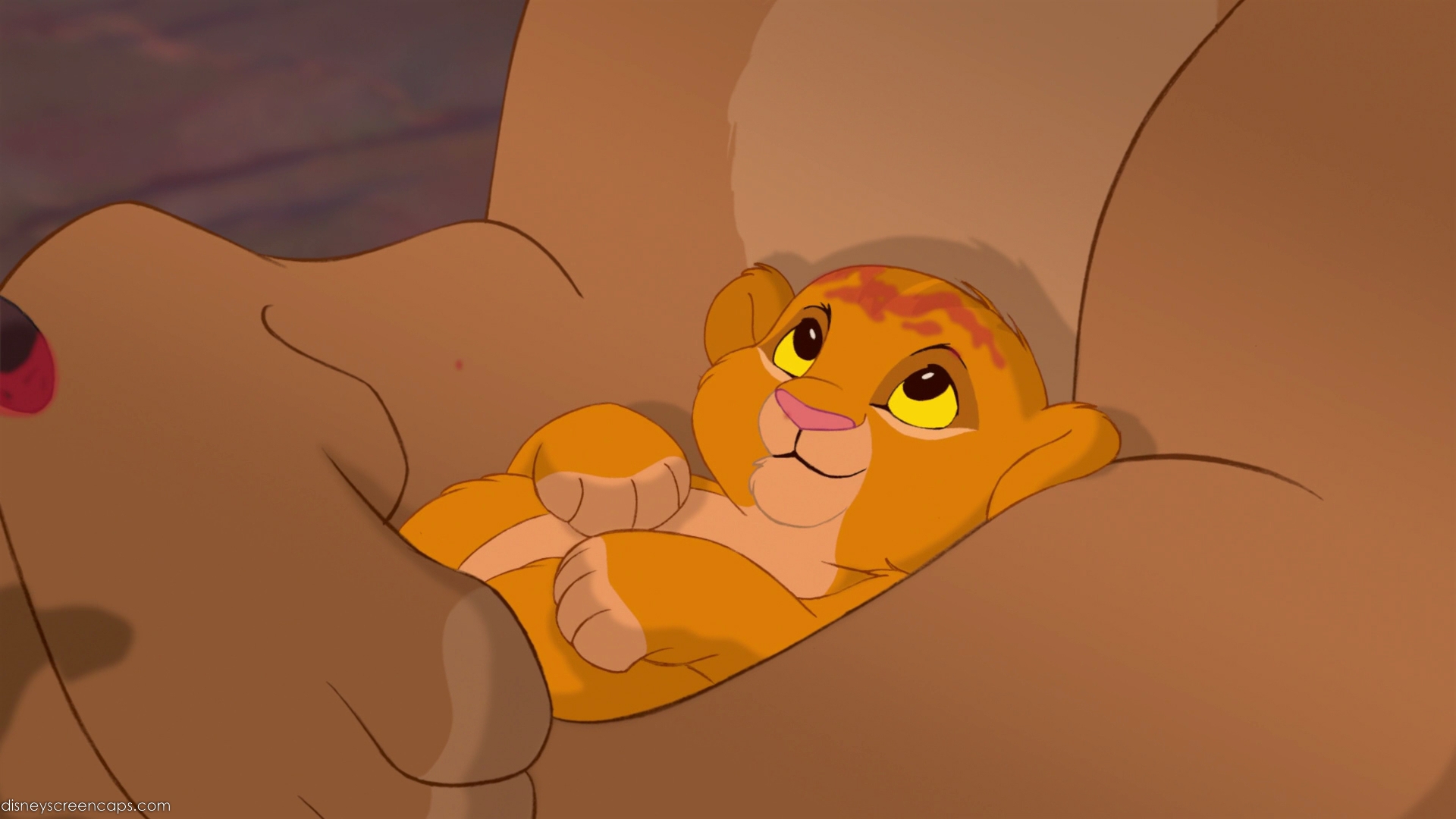Baby-Simba-the-lion-king-30912001-1920-1080.jpg