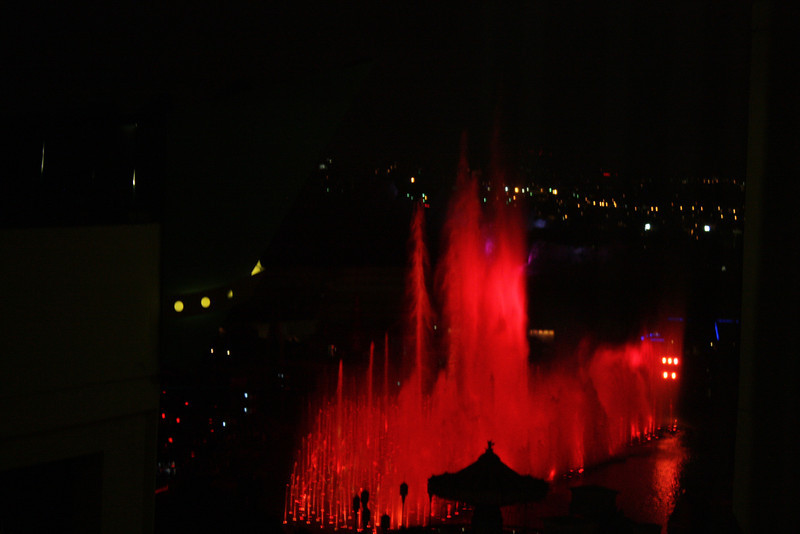 IMG_1671-L.jpg