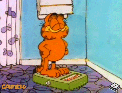 giphy.gif