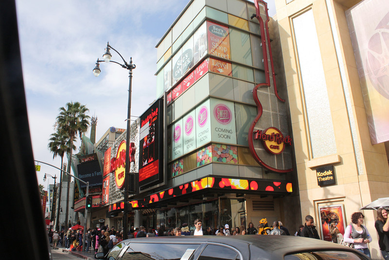 IMG0948-L.jpg