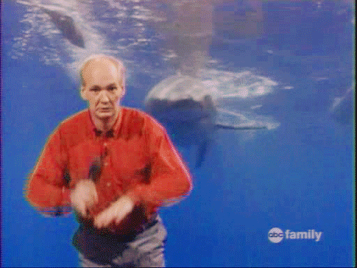 tumblr_m2tdk8ErGV1r06ekko1_500.gif
