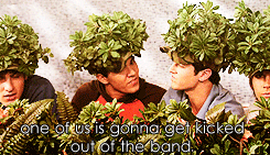 tumblr_lpqdz3DAiV1qf7phso2_250.gif