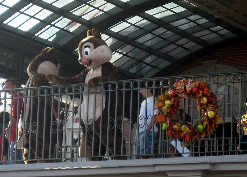 WDW%20050-L.jpg