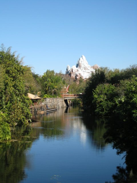 IMG_0945.jpg