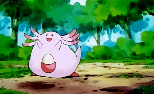 tumblr_lxpbiifPl31qd8t4mo1_500.gif