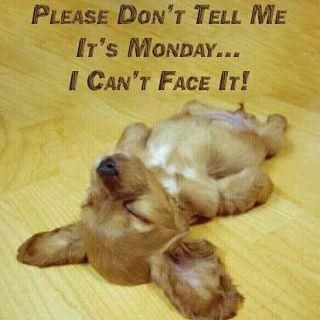 MONDAY+NOOOO.jpg