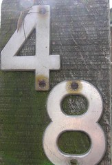 48114609_59721b1ac2_m.jpg
