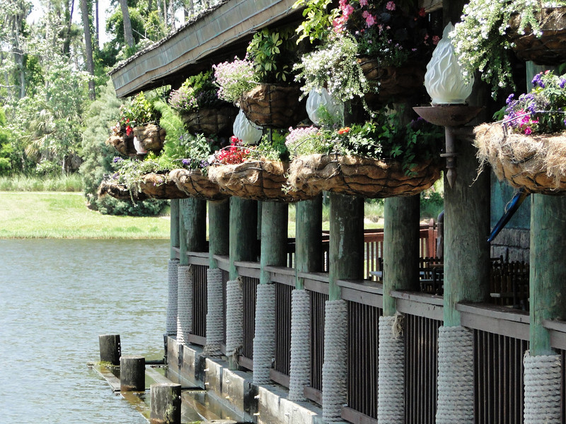 1008050330_6f2bb-L.jpg