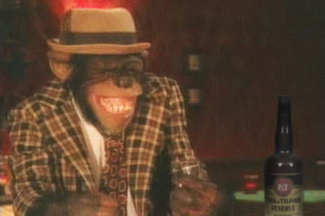 monkey-drinking-buddy.jpg