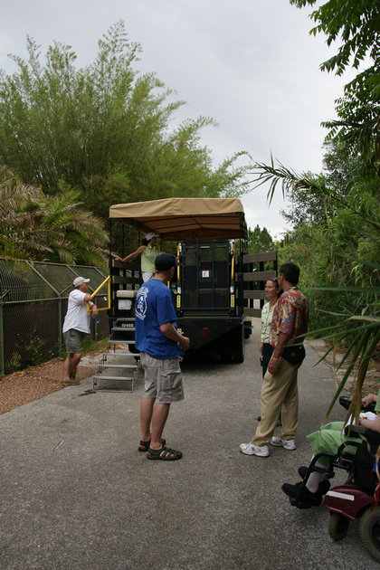 p106003210-4.jpg