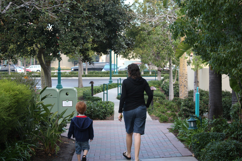 IMG9075-L.jpg