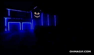 giphy.gif