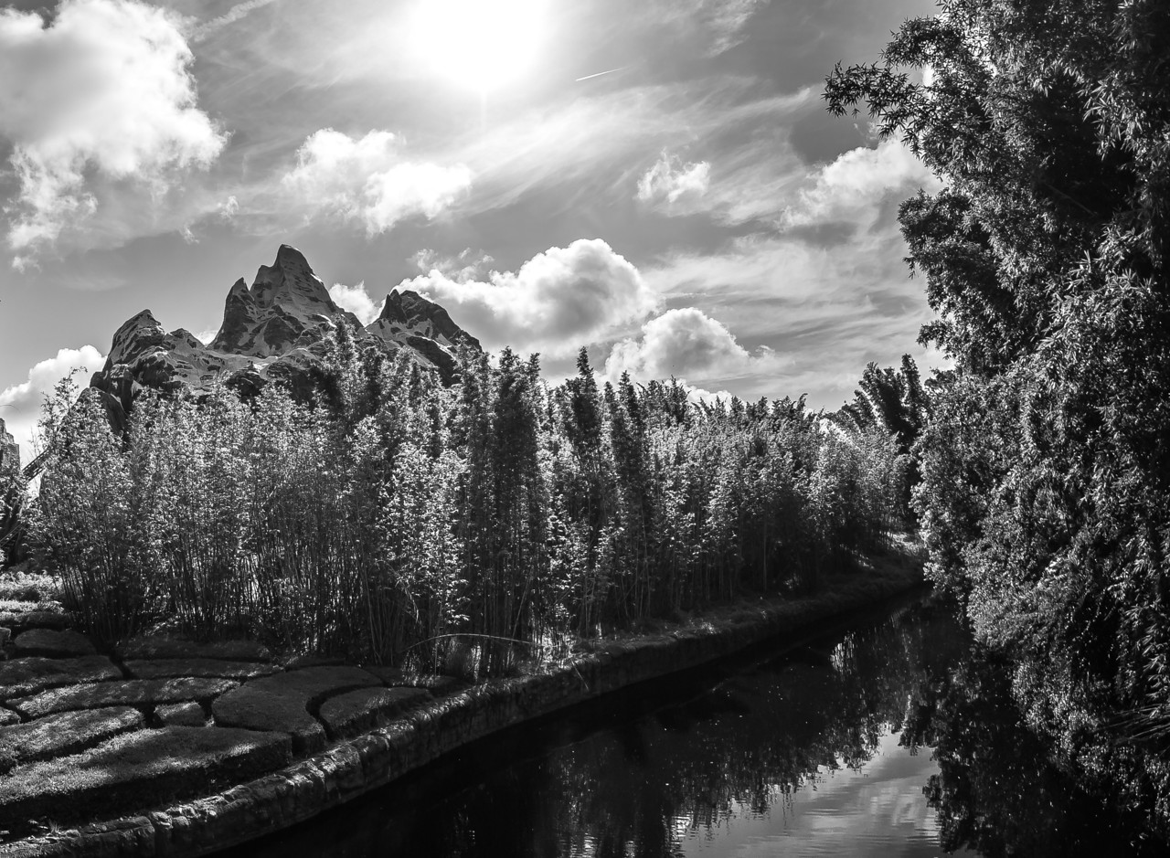 _DSC4767-X2.jpg