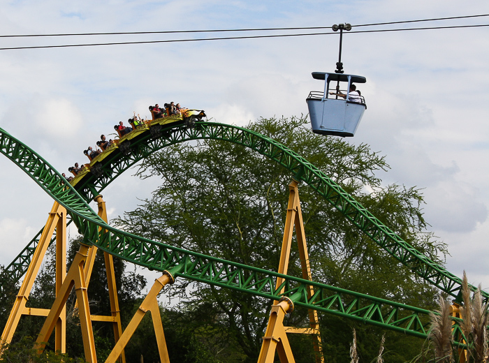 busch-gardens-tampa-2013-cheetah-hunt-28.jpg