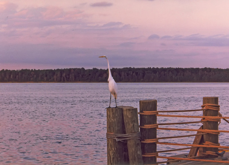 Untitled-121-L.jpg