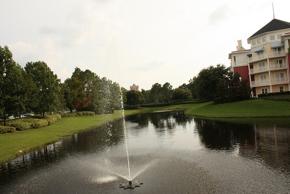 583509594_5A436-M.jpg