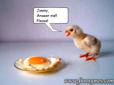 chicken.jpg