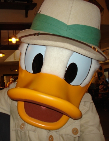 donald.jpg