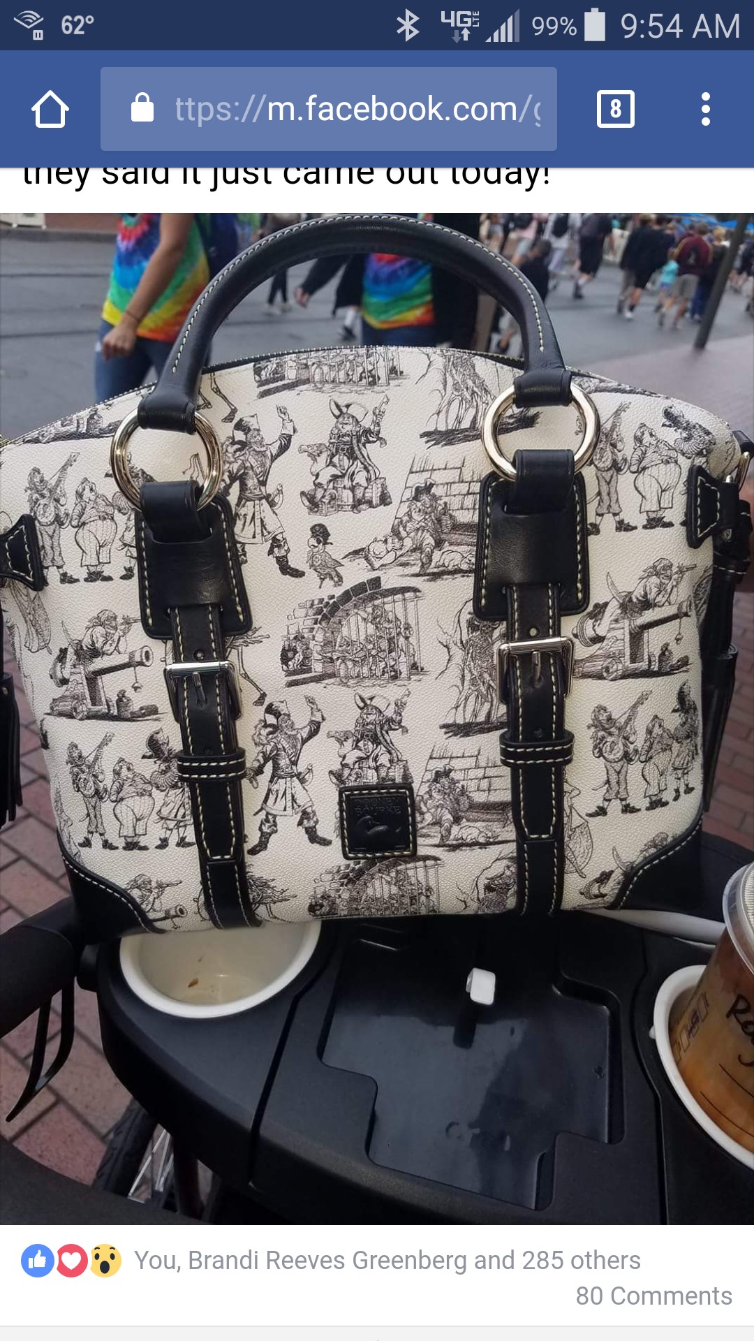 PiratePurse.jpg