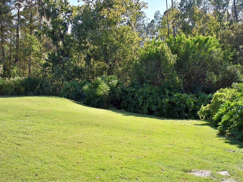 picture-257.jpg