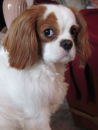 IMG0439-M.jpg