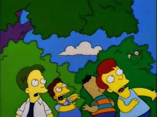 tumblr_lj6w6b3i241qebqogo1_500.gif