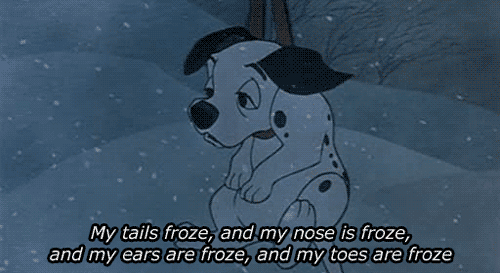 tumblr_m3cw111kPf1ro2qi2.gif