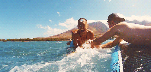 tumblr_m60cywERJK1qbp3mfo1_500.gif