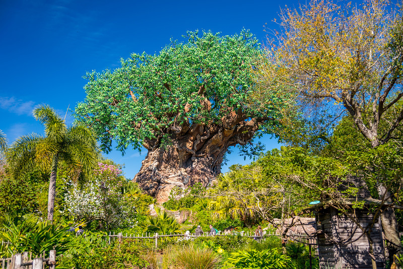DSC_8019-L.jpg