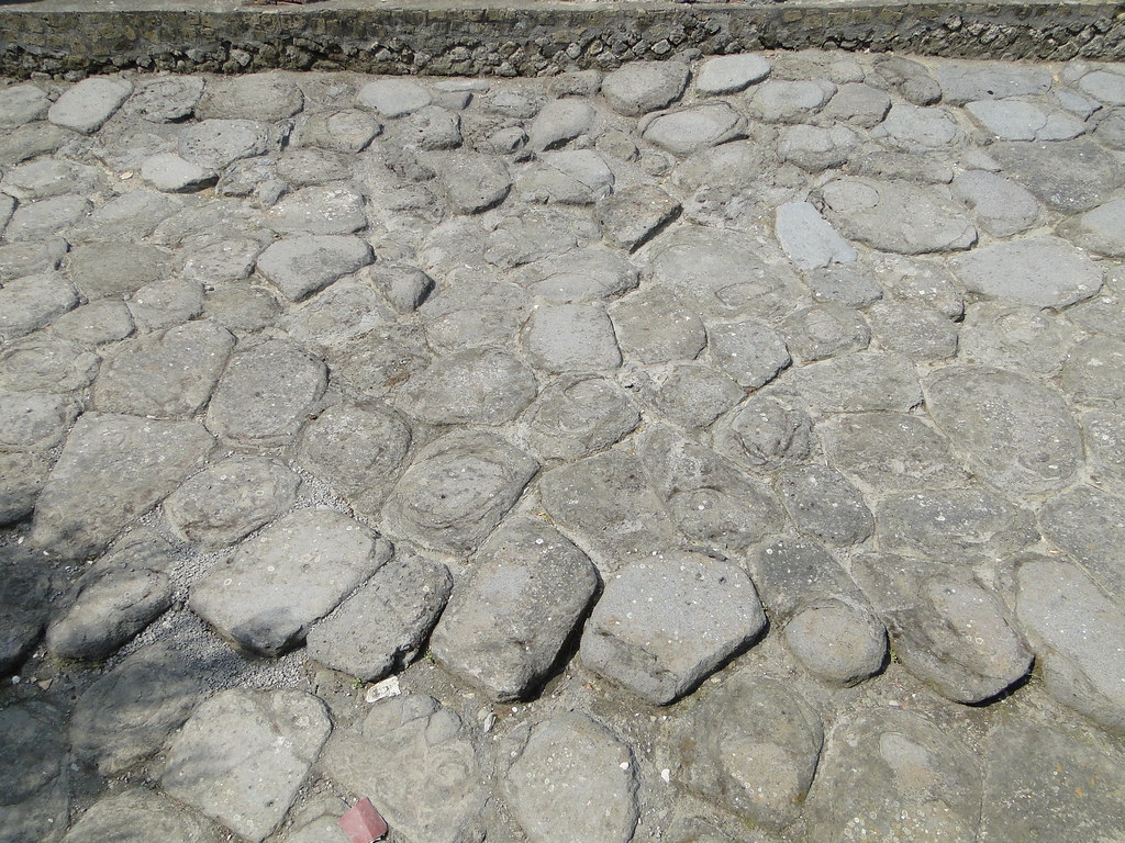 4636860548_df953eff59_b.jpg