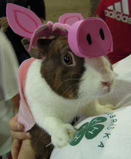 Pig+Bunny.jpg