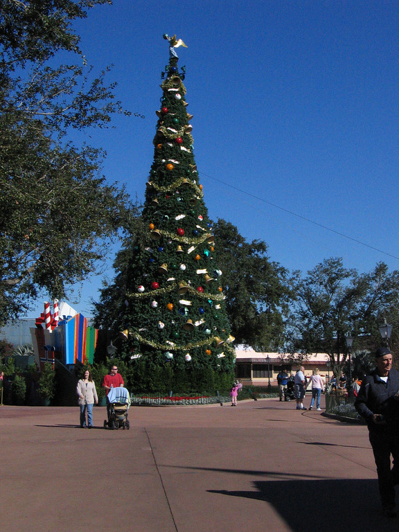 IMG_7417-XL.jpg