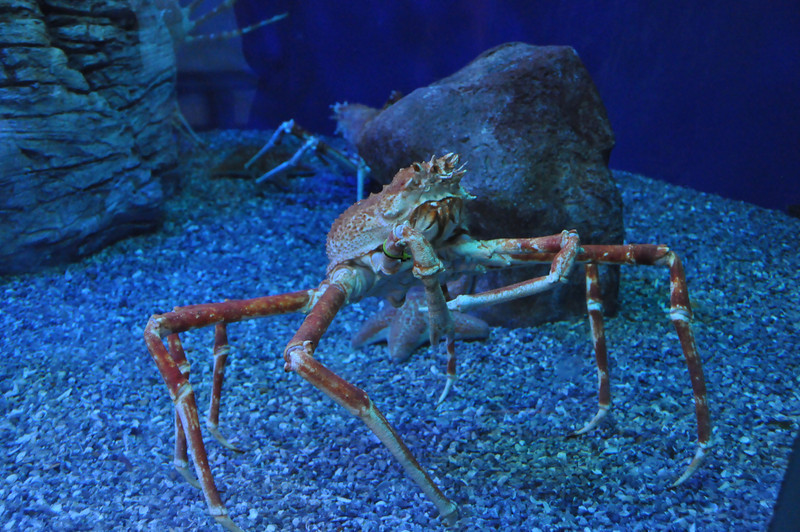 600384076_WQx2K-L.jpg
