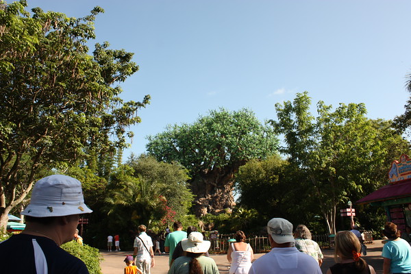 600637084_Rrcb7-M.jpg