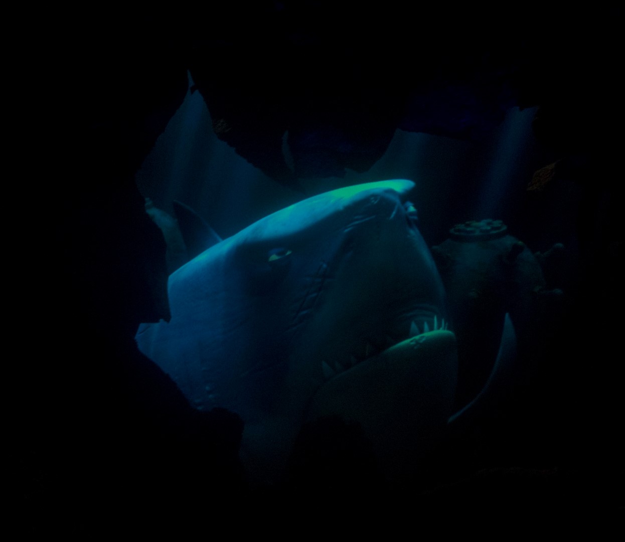 DSC_1287%20(Large).jpg