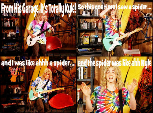 tumblr_lqwsciVNai1qdsw8so1_500.jpg